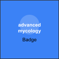 Advanced Mycology Badge - rare rarity badges in PEAK climbing game. Try all 5 types of Shroomberry in a single expedition.